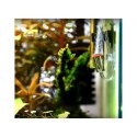 Chihiros Nano CO2 Diffuser L - dyfuzor CO2 akrylowy Chihiros