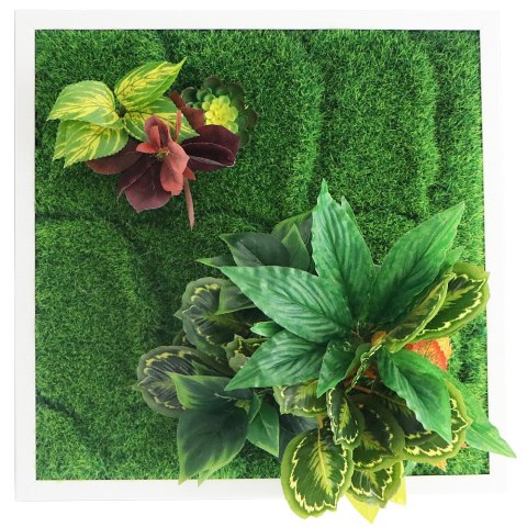 Garden Point - Bello Horizonte 50x50 - ogród ścienny 3D Garden Point Garden Point - Bello Horizonte 50x50 - ogród ścienny 3D Garden Point