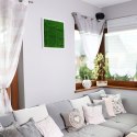 Garden Point - Bello Horizonte 50x50 - ogród ścienny 3D Garden Point