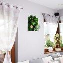 Garden Point - Bello Horizonte 50x50 - ogród ścienny 3D Garden Point