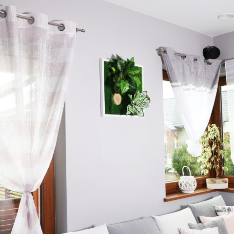 Garden Point - Bello Horizonte 50x50 - ogród ścienny 3D Garden Point Garden Point - Bello Horizonte 50x50 - ogród ścienny 3D Garden Point