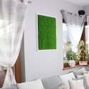 Garden Point - Bello Horizonte 60x80 - ogród ścienny 3D Garden Point