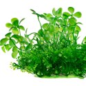 Kruger Meier Plant Lucky Clover - roślinka sztuczna Kruger Meier