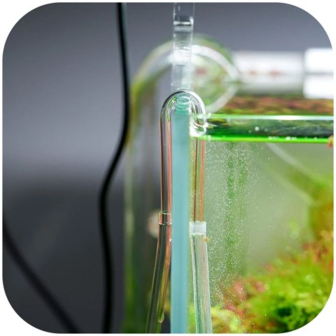 Chihiros U Clip M - kolanko na wężyk 6mm CO2 i napowietrzacza Chihiros Chihiros U Clip M - kolanko na wężyk 6mm CO2 i napowietrzacza Chihiros