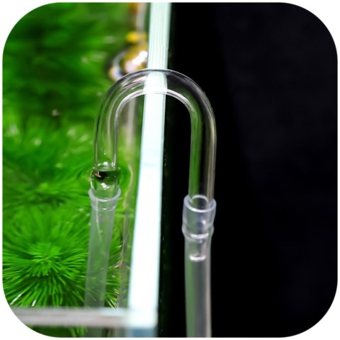 Chihiros U Clip M - kolanko na wężyk 6mm CO2 i napowietrzacza Chihiros Chihiros U Clip M - kolanko na wężyk 6mm CO2 i napowietrzacza Chihiros