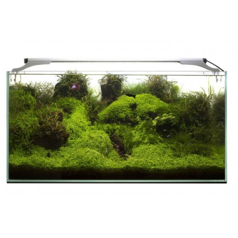 Aquael Leddy Slim 32W Plant 80-100 Czarny 2.0 Aquael Aquael Leddy Slim 32W Plant 80-100 Czarny 2.0 Aquael