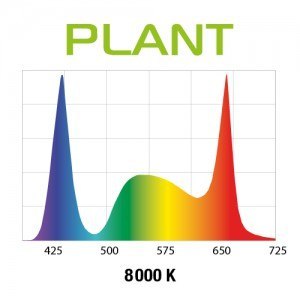 Aquael Leddy Slim 32W Plant 80-100 Czarny 2.0 Aquael Aquael Leddy Slim 32W Plant 80-100 Czarny 2.0 Aquael