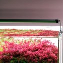 Chihiros B-Series B80 LED Light with Commander - lampa led sterowana aplikacją 80-100cm Chihiros
