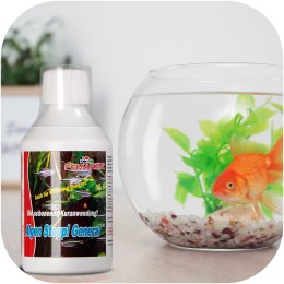 FEMANGA - Algenstop General 500ml Femanga