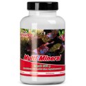 Femanga Multi Mineral 300g - mieszanka naturalnych minerałów Femanga