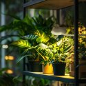 Kruger Meier Velluto S-Line - lampa LED do akwarium 10l - 40l Kruger Meier