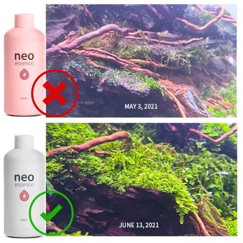 Neo Essence 1000ml - wzrost i wybarwienie roślin NEO MEDIA Neo Essence 1000ml - wzrost i wybarwienie roślin NEO MEDIA