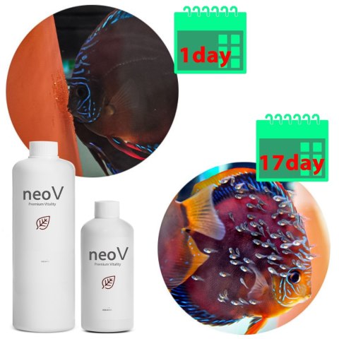 Neo V 300ml - bakterie + stabilizacja pH + witaminy dla ryb NEO MEDIA Neo V 300ml - bakterie + stabilizacja pH + witaminy dla ryb NEO MEDIA