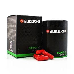 YOKUCHI SOSEI CAPS - nawóz do podłoża 80sztuk YOKUCHI