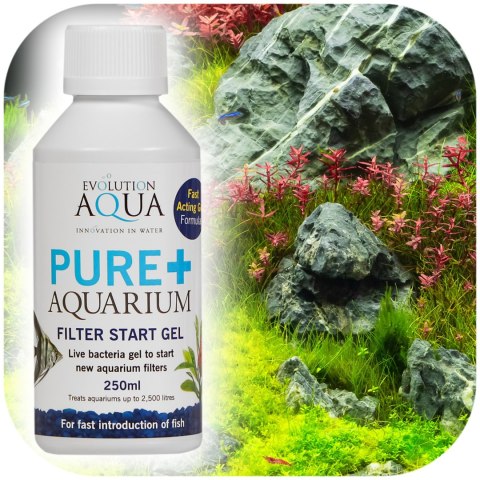 Evolution Aqua Pure+ Aquarium - bakterie w żelu Evolution Evolution Aqua Pure+ Aquarium - bakterie w żelu Evolution