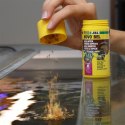 JBL Pronovo Bel Flakes S 100ml - podstawowy pokarm w płatkach dla ryb JBL
