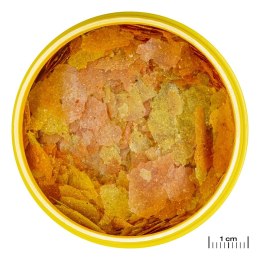 JBL Pronovo Color Flakes M 100ml - pokarm wzmacniający kolory ryb JBL