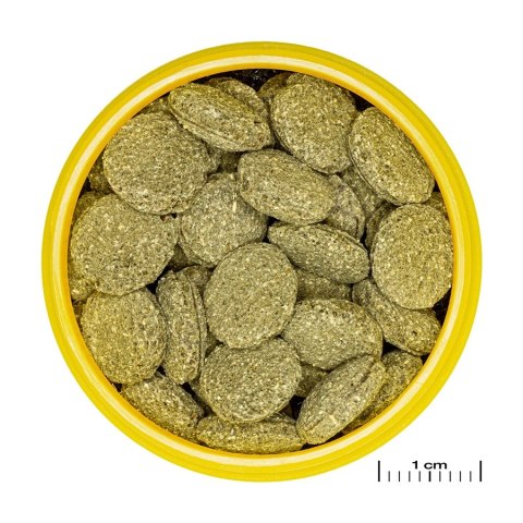 JBL Pronovo Pleco Wafer M 100ml - pokarm dla glonojadów roślinożernych JBL JBL Pronovo Pleco Wafer M 100ml - pokarm dla glonojadów roślinożernych JBL