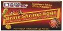 Ocean Nutrition Brine Shrimp Eggs 20g - jaja artemii Ocean Nutrition