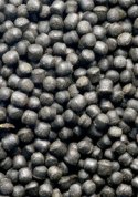 Ocean Nutrition Cichild Vegi Pellets 100g (pokarm dla pielęgnic) Ocean Nutrition