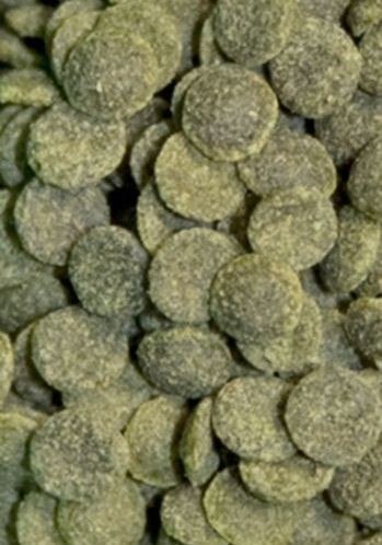 Ocean Nutrition Shrimp Wafers 15g (pokarm dla krewetek) Ocean Nutrition Ocean Nutrition Shrimp Wafers 15g (pokarm dla krewetek) Ocean Nutrition