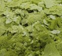 Ocean Nutrition Spirulina Flakes 34g (pokarm w płatkach) Ocean Nutrition