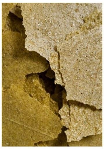 Ocean Nutrition Spirulina Flakes 34g (pokarm w płatkach) Ocean Nutrition Ocean Nutrition Spirulina Flakes 34g (pokarm w płatkach) Ocean Nutrition