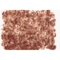 Tetra FreshDelica Brine Shrimps 48g - pokarm w żelu Tetra