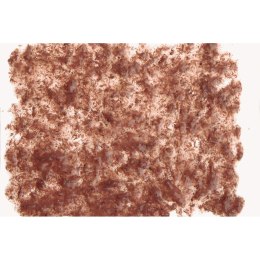 Tetra FreshDelica Brine Shrimps 48g - pokarm w żelu Tetra