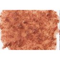 Tetra FreshDelica Krill 48g - przysmak w żelu dla ryb Tetra