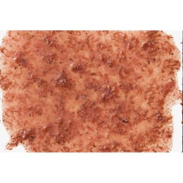 Tetra FreshDelica Krill 48g - przysmak w żelu dla ryb Tetra