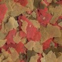 Tetra Goldfish Flakes 12g - pokarm dla złotych rybek Tetra