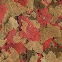 Tetra Goldfish Flakes 12g - pokarm dla złotych rybek Tetra