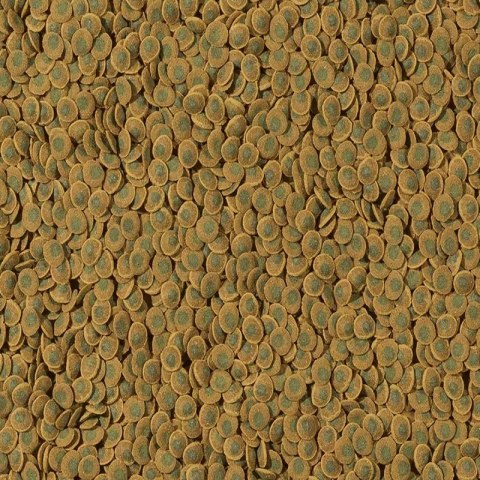 Tetra Pleco Veggie Wafers 15g - pokarm roślinny dla ryb dennych Tetra Tetra Pleco Veggie Wafers 15g - pokarm roślinny dla ryb dennych Tetra
