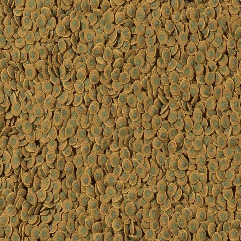 Tetra Pleco VeggieWafers 100ml - pokarm dla ryb roślinożernych dennych Tetra Tetra Pleco VeggieWafers 100ml - pokarm dla ryb roślinożernych dennych Tetra