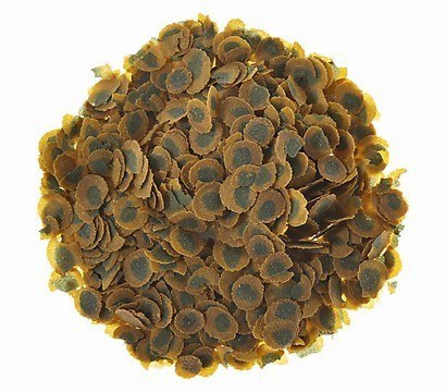 Tetra Pro Algae Multi-Crisps 100ml - pokarm wzmacniający odporność dla ryb Tetra Tetra Pro Algae Multi-Crisps 100ml - pokarm wzmacniający odporność dla ryb Tetra