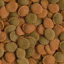 Tetra Wafer Mix 100ml - pokarm dla ryb dennych Tetra