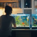 Kruger Meier NeoClear 600 - filtr wewnętrzny do akwarium 20l - 40l Kruger Meier