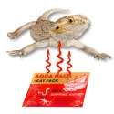 Aqua Heat Pack 40H 'Gold' - ogrzewacz do rąk i transportu zwierząt Terrario
