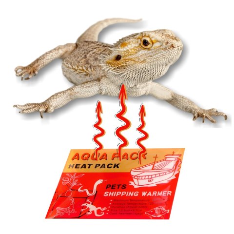 Aqua Heat Pack 40H 'Gold' - ogrzewacz do rąk i transportu zwierząt Terrario Aqua Heat Pack 40H 'Gold' - ogrzewacz do rąk i transportu zwierząt Terrario