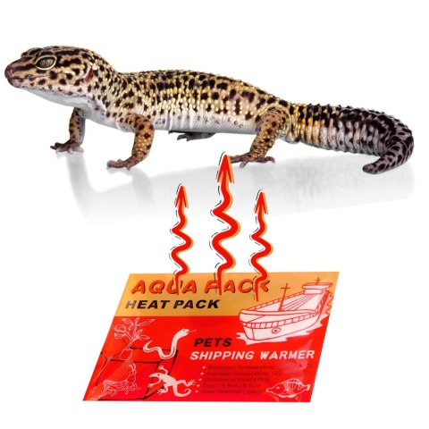 Aqua Heat Pack 40H 'Gold' - ogrzewacz do rąk i transportu zwierząt Terrario Aqua Heat Pack 40H 'Gold' - ogrzewacz do rąk i transportu zwierząt Terrario