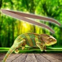 Repti-Zoo Pęseta Bambusowa zagięta 28cm Repti-Zoo