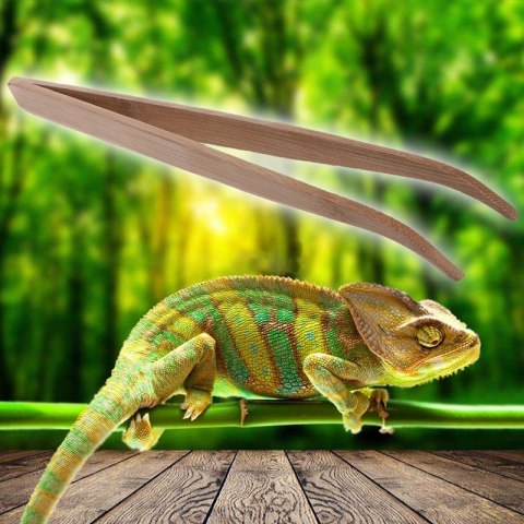 Repti-Zoo Pęseta Bambusowa zagięta 28cm Repti-Zoo Repti-Zoo Pęseta Bambusowa zagięta 28cm Repti-Zoo