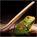 Repti-Zoo Pęseta Bambusowa zagięta 28cm Repti-Zoo