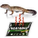 Terrario Heatarms Heat Pack 40H - ogrzewacz transportowy Terrario