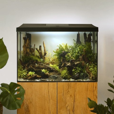 Aquael Leddy XL 40 Day&Night 2.0 - zestaw akwariowy Aquael Aquael Leddy XL 40 Day&Night 2.0 - zestaw akwariowy Aquael