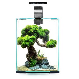 Aquael Shrimp Set Day&Night 10L Black - zestaw akwarystyczny Aquael