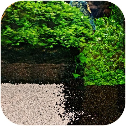 Eco Plant Black River 1kg - żwirek czarny 2-4mm Eco Plant Eco Plant Black River 1kg - żwirek czarny 2-4mm Eco Plant