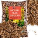 Eco Plant Natural River 1kg - żwir rzeczny 1-3mm Eco Plant Eco Plant Natural River 1kg - żwir rzeczny 1-3mm Eco Plant