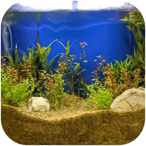 Eco Plant Natural River 1kg - żwir rzeczny 1-3mm Eco Plant Eco Plant Natural River 1kg - żwir rzeczny 1-3mm Eco Plant